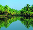 Eternal beauty of the palm beaches of Kerala..