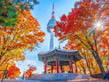 Discover the magic of South Korea