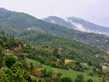 Holiday in Chail