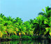 Travel to Kerala