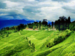 Fly to Darjeeling/Gangtok