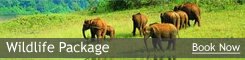 Wildlife Packages